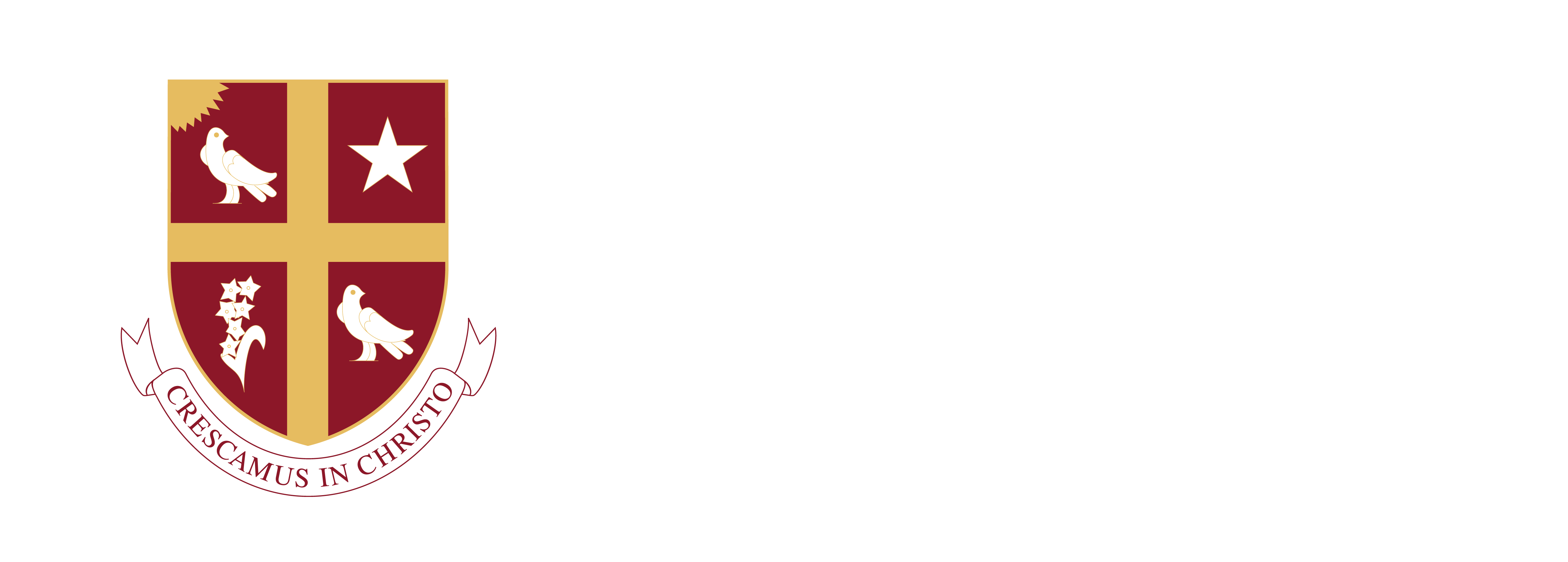 University of St. Thomas